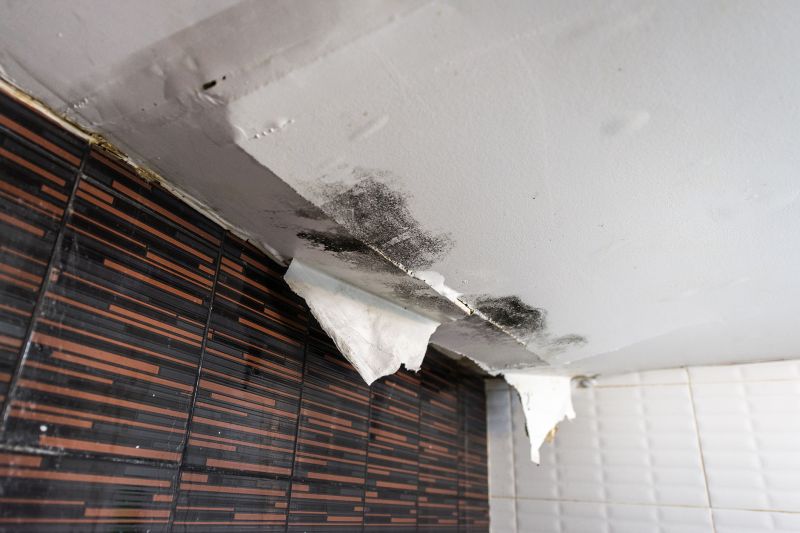 Bathroom Water Damage Repair in Denver County, CO