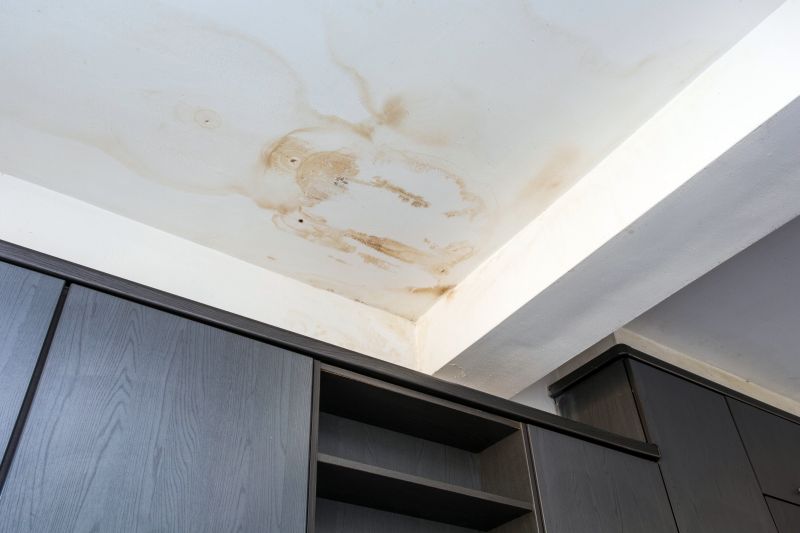 Water Damage Ceiling Repair in Santa Rosa, CA