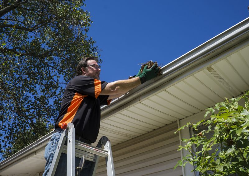 Gutter Cleaning Services